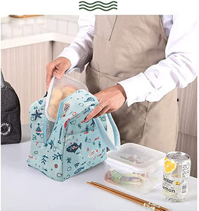 INSULATED TIFFIN BAG (MIXED COLOR)